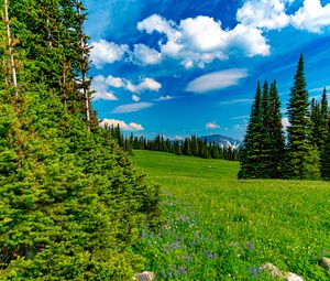 Preview wallpaper field, trees, mountains, clouds, landscape, nature