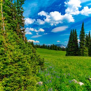 Preview wallpaper field, trees, mountains, clouds, landscape, nature