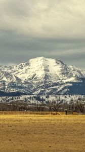 Preview wallpaper field, trees, mountains, snow, nature