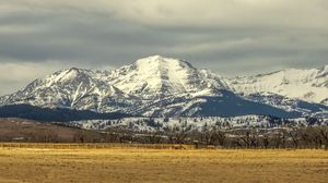 Preview wallpaper field, trees, mountains, snow, nature