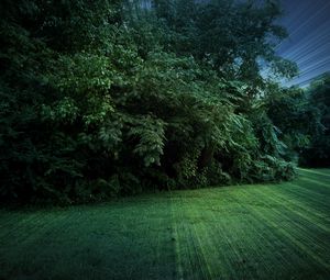 Preview wallpaper field, trees, nature, landscape