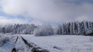 Preview wallpaper field, trees, path, snow, winter