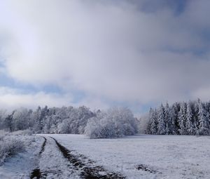 Preview wallpaper field, trees, path, snow, winter