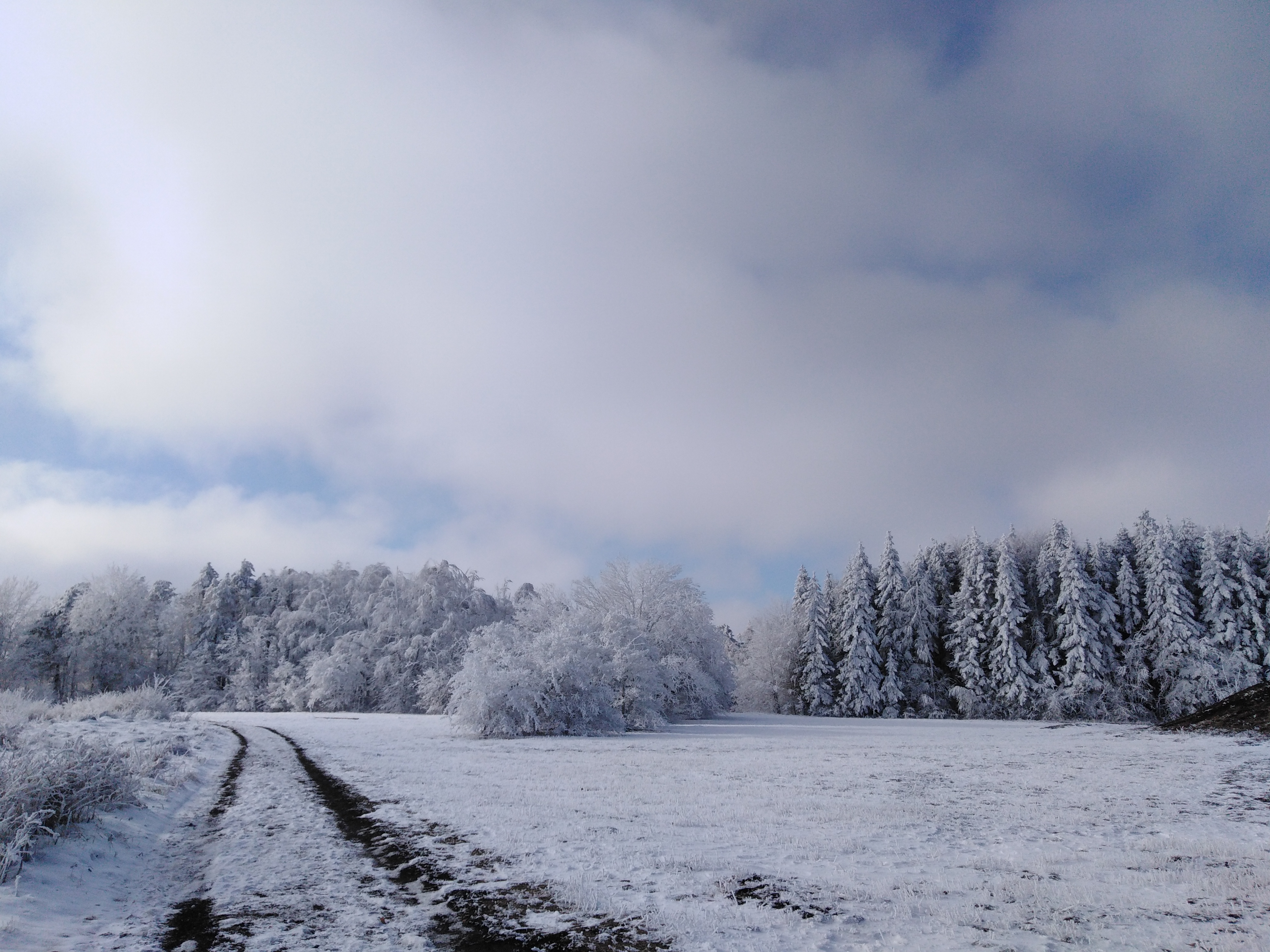 Золотой павильон в киото. E snow. E snow. Snow resort. Сказочная зима.