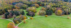 Preview wallpaper field, trees, paths, aerial view, view