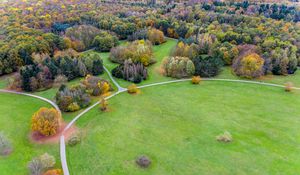 Preview wallpaper field, trees, paths, aerial view, view