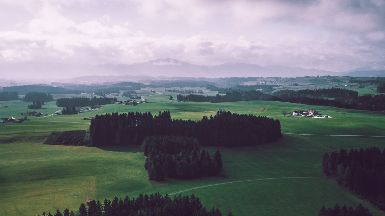 Wallpaper field, trees, sky, top view