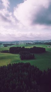 Preview wallpaper field, trees, sky, top view