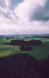 Preview wallpaper field, trees, sky, top view