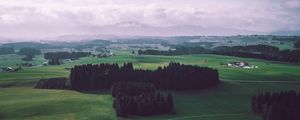 Preview wallpaper field, trees, sky, top view