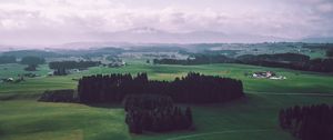 Preview wallpaper field, trees, sky, top view