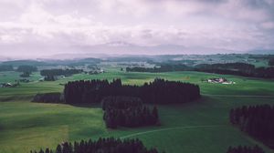 Preview wallpaper field, trees, sky, top view