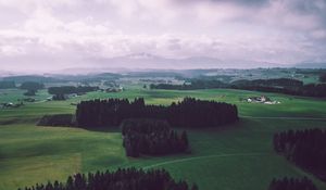 Preview wallpaper field, trees, sky, top view