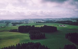 Preview wallpaper field, trees, sky, top view