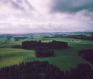 Preview wallpaper field, trees, sky, top view