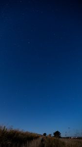 Preview wallpaper field, trees, sky, stars, twilight, landscape
