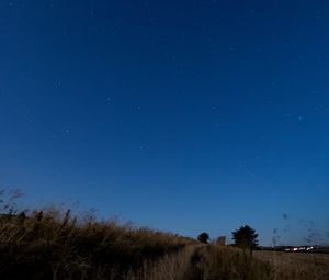 Preview wallpaper field, trees, sky, stars, twilight, landscape