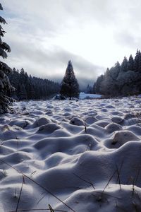 Preview wallpaper field, trees, snow, winter, nature
