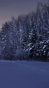 Preview wallpaper field, trees, snow, winter, night