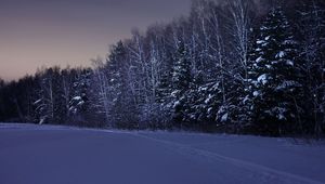 Preview wallpaper field, trees, snow, winter, night