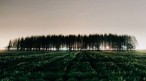 Preview wallpaper field, trees, stars, long exposure