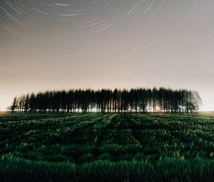 Preview wallpaper field, trees, stars, long exposure