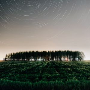 Preview wallpaper field, trees, stars, long exposure
