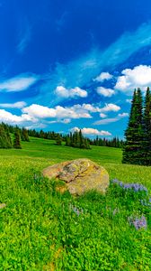 Preview wallpaper field, trees, stone, landscape