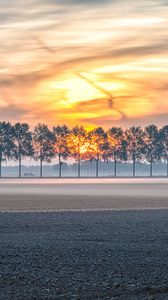 Preview wallpaper field, trees, sunset, fog, dusk