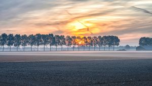 Preview wallpaper field, trees, sunset, fog, dusk