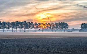 Preview wallpaper field, trees, sunset, fog, dusk