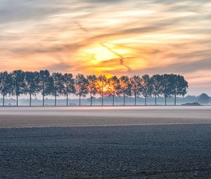 Preview wallpaper field, trees, sunset, fog, dusk