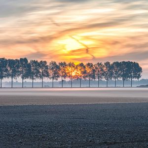 Preview wallpaper field, trees, sunset, fog, dusk