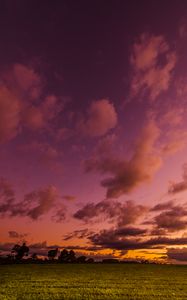 Preview wallpaper field, twilight, landscape, trees, sky, clouds