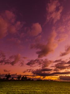 Preview wallpaper field, twilight, landscape, trees, sky, clouds