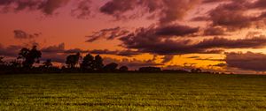 Preview wallpaper field, twilight, landscape, trees, sky, clouds