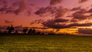 Preview wallpaper field, twilight, landscape, trees, sky, clouds