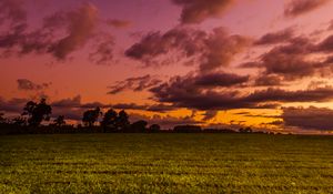 Preview wallpaper field, twilight, landscape, trees, sky, clouds