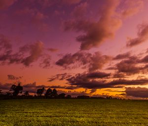 Preview wallpaper field, twilight, landscape, trees, sky, clouds