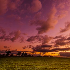 Preview wallpaper field, twilight, landscape, trees, sky, clouds