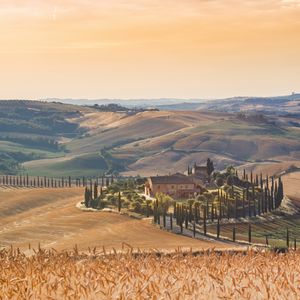 Preview wallpaper field, village, sunlight, summer