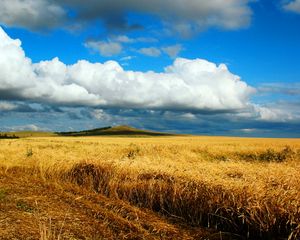 Preview wallpaper field, wheat, autumn, cleaning, kazakhstan, petropavlovsk, heaven, cloud, distance, endless