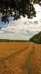 Preview wallpaper field, wheat, path, nature, landscape