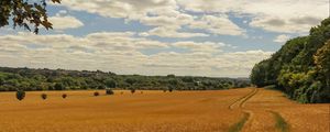 Preview wallpaper field, wheat, path, nature, landscape