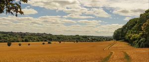 Preview wallpaper field, wheat, path, nature, landscape