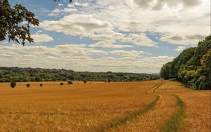 Preview wallpaper field, wheat, path, nature, landscape