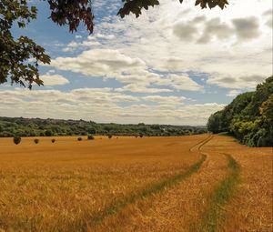 Preview wallpaper field, wheat, path, nature, landscape