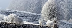 Preview wallpaper field, winter, frost, snow, trees