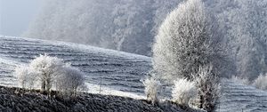 Preview wallpaper field, winter, frost, snow, trees