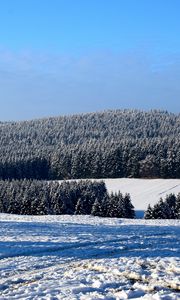 Preview wallpaper field, winter, snow, trees